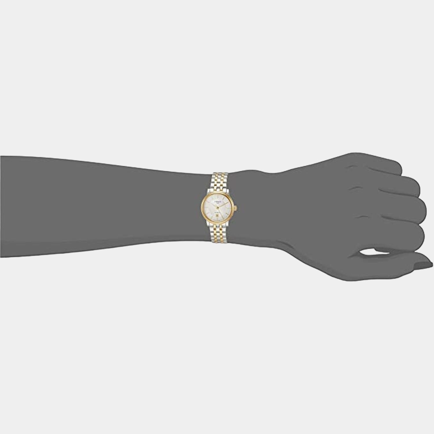 Carson Women Analog Stainless Steel Watch T1222072203100