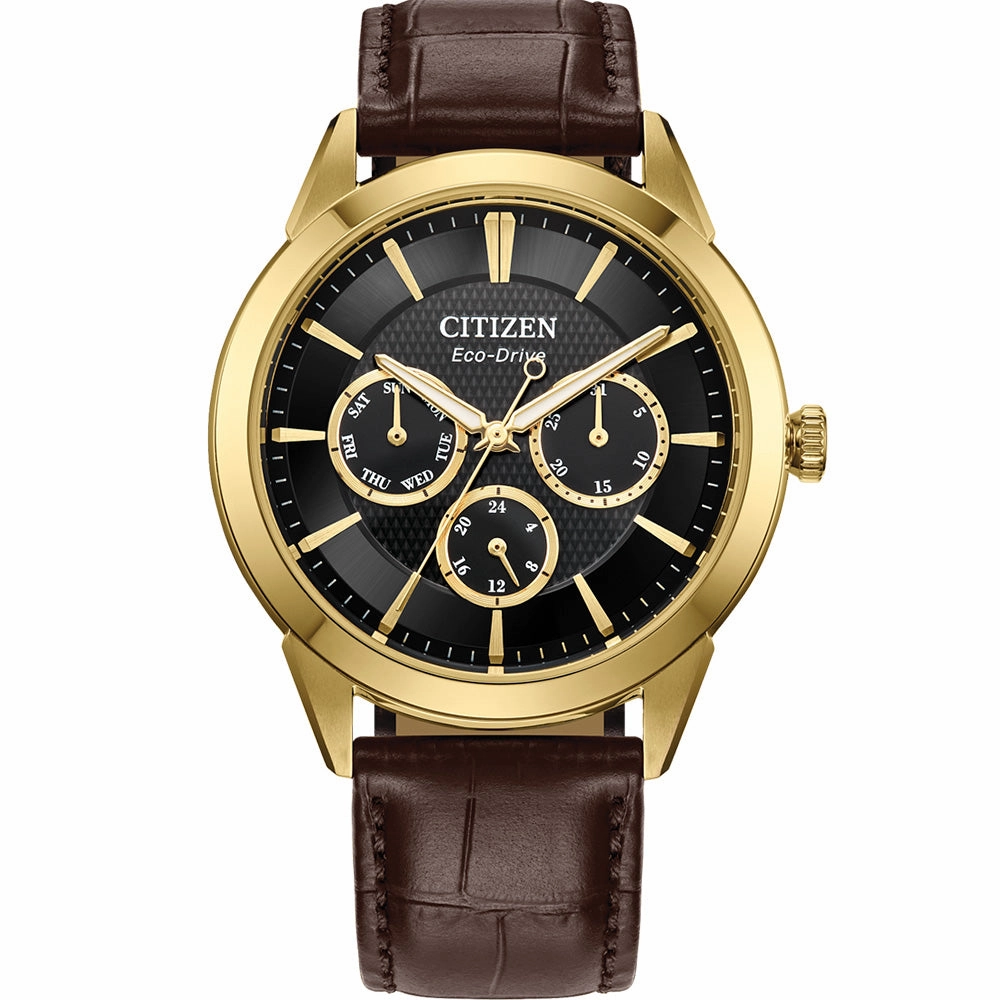 Citizen Eco-Drive BU2112-06E Multi-Function Affordable Leather Watch Leather Watch Discount