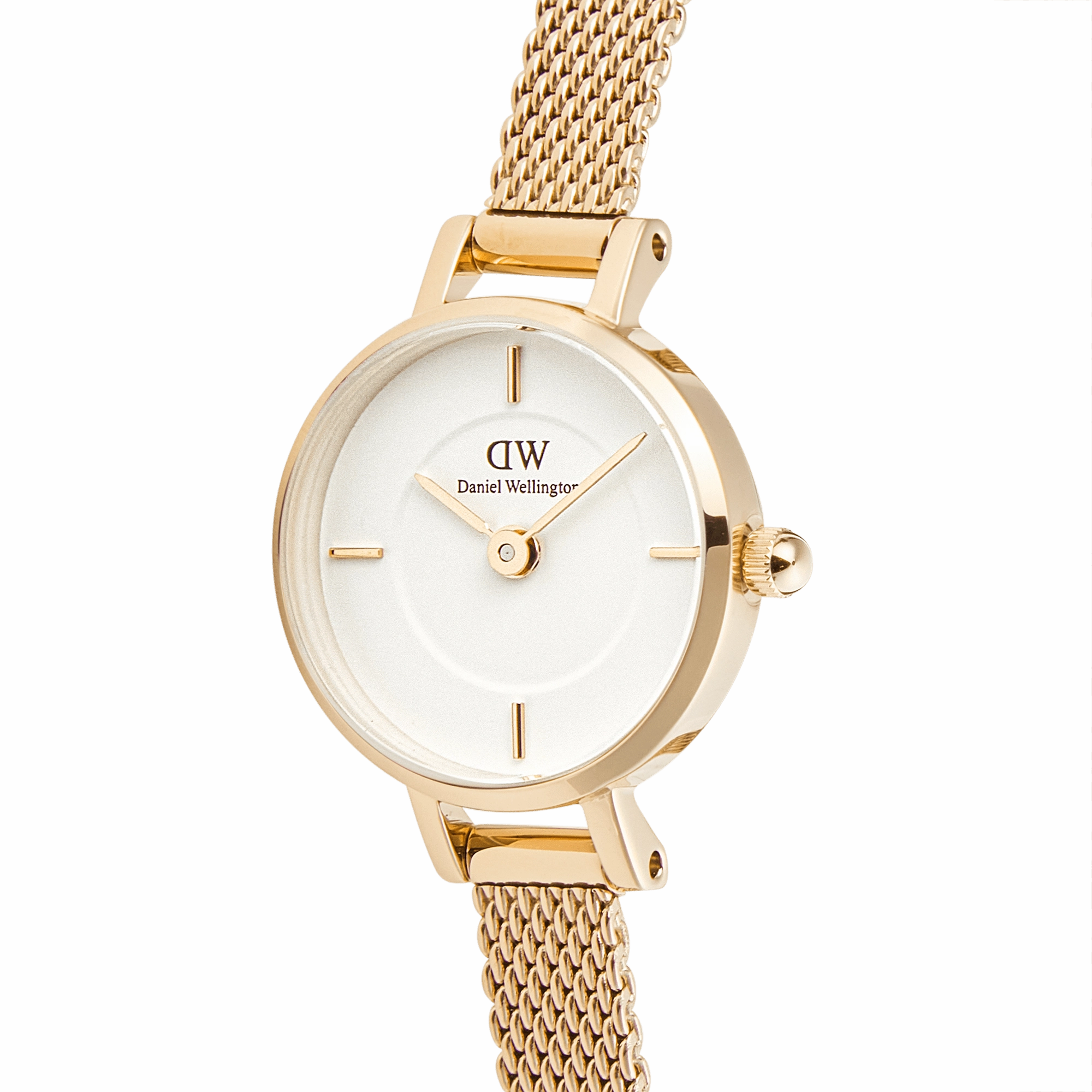 Daniel Wellington Petite Mini Evergold Watch