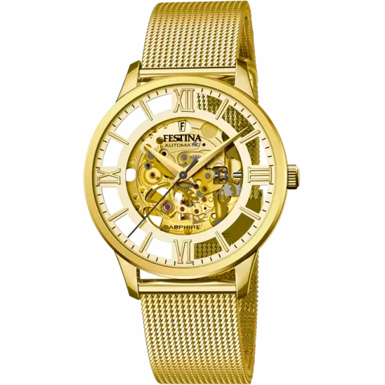 Festina Gold Dial Gold Stainless Steel Strap Men's Watch F20667/1 