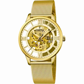 Festina Gold Dial Gold Stainless Steel Strap Men's Watch F20667/1 
