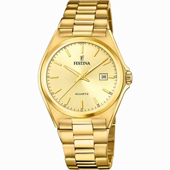 Festina Men's Sophisticated Elegance Stainless Steel Timepiece F20555/3 