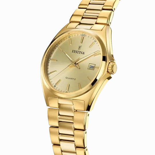 Festina Men's Sophisticated Elegance Stainless Steel Timepiece F20555/3