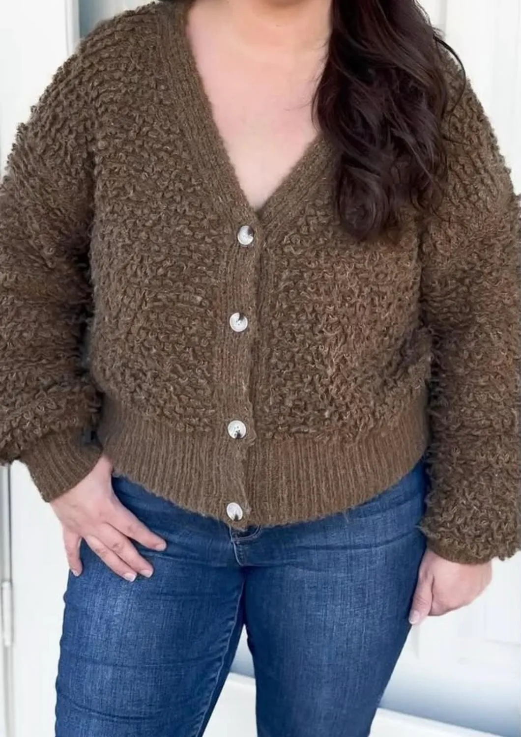 Lainey Sweater Cardigan In Brown