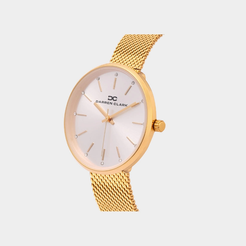 Women Quartz Silver Dial Analog Mesh Watch 2007B-E0203
